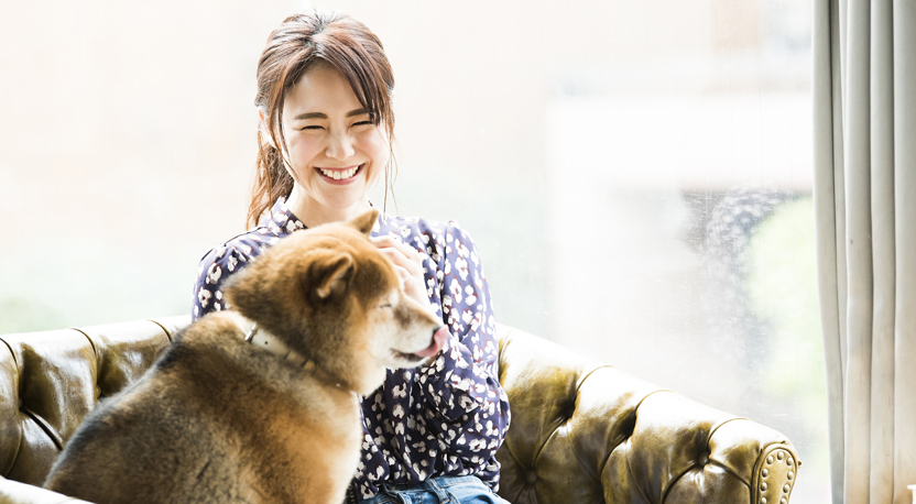 ペットの飼育について